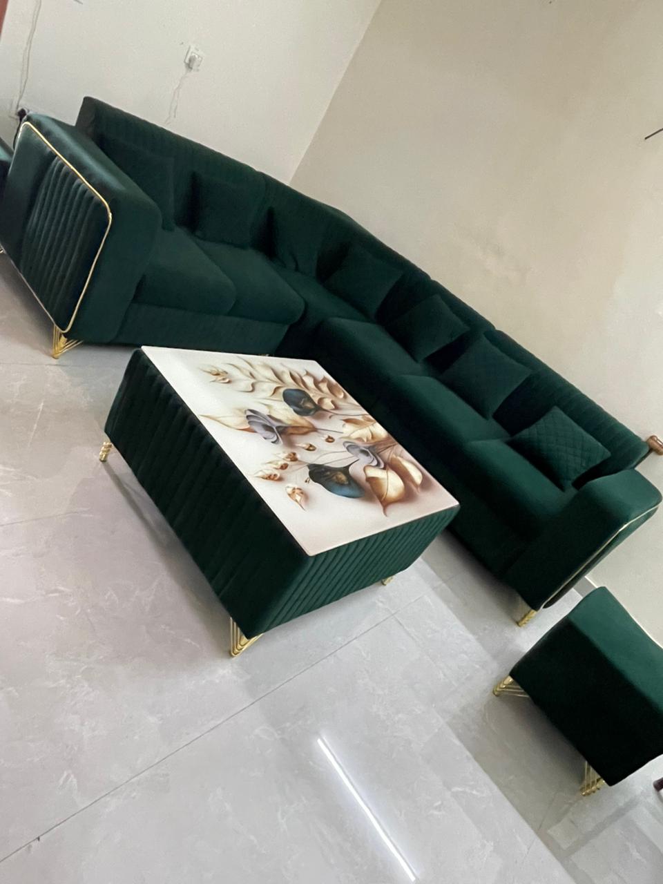 Luxe 3bhk fully furnished available in The Promont